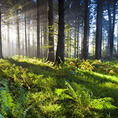 爱游戏全站APP下载下载手机版