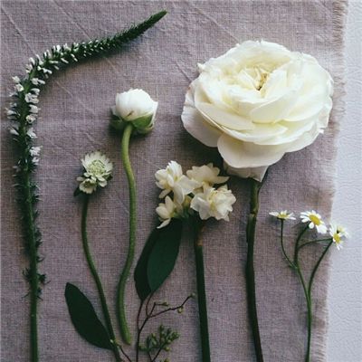 风云体育app下载官网最新版