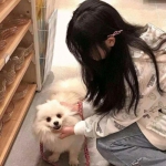 皇冠体育app下载